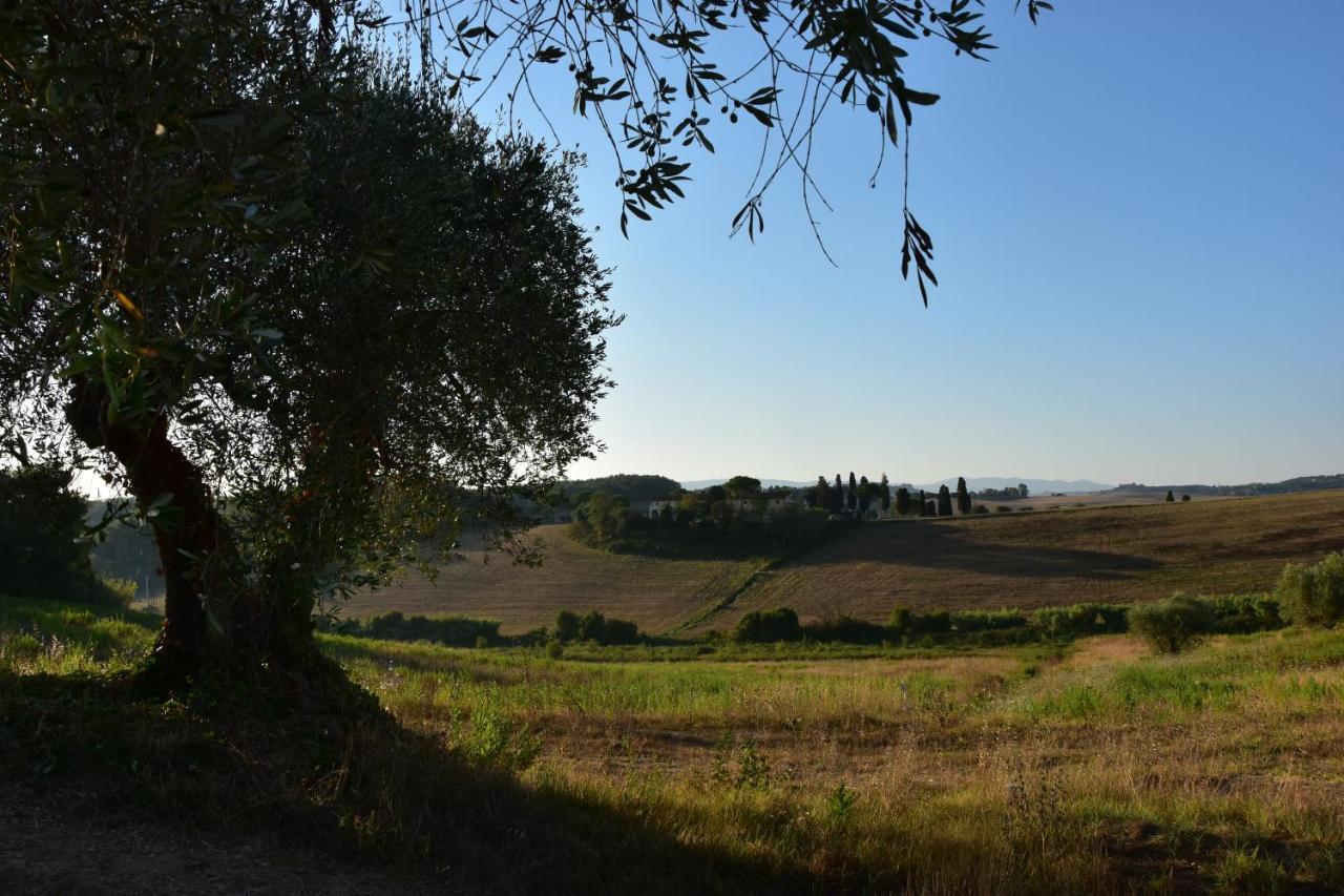 Agriturismo Cheloni Guasticce Exterior photo