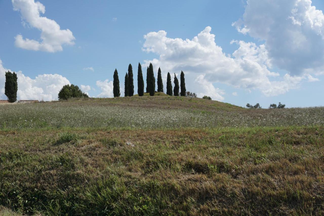 Agriturismo Cheloni Guasticce Exterior photo