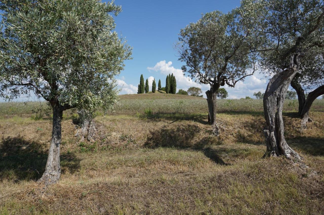 Agriturismo Cheloni Guasticce Exterior photo