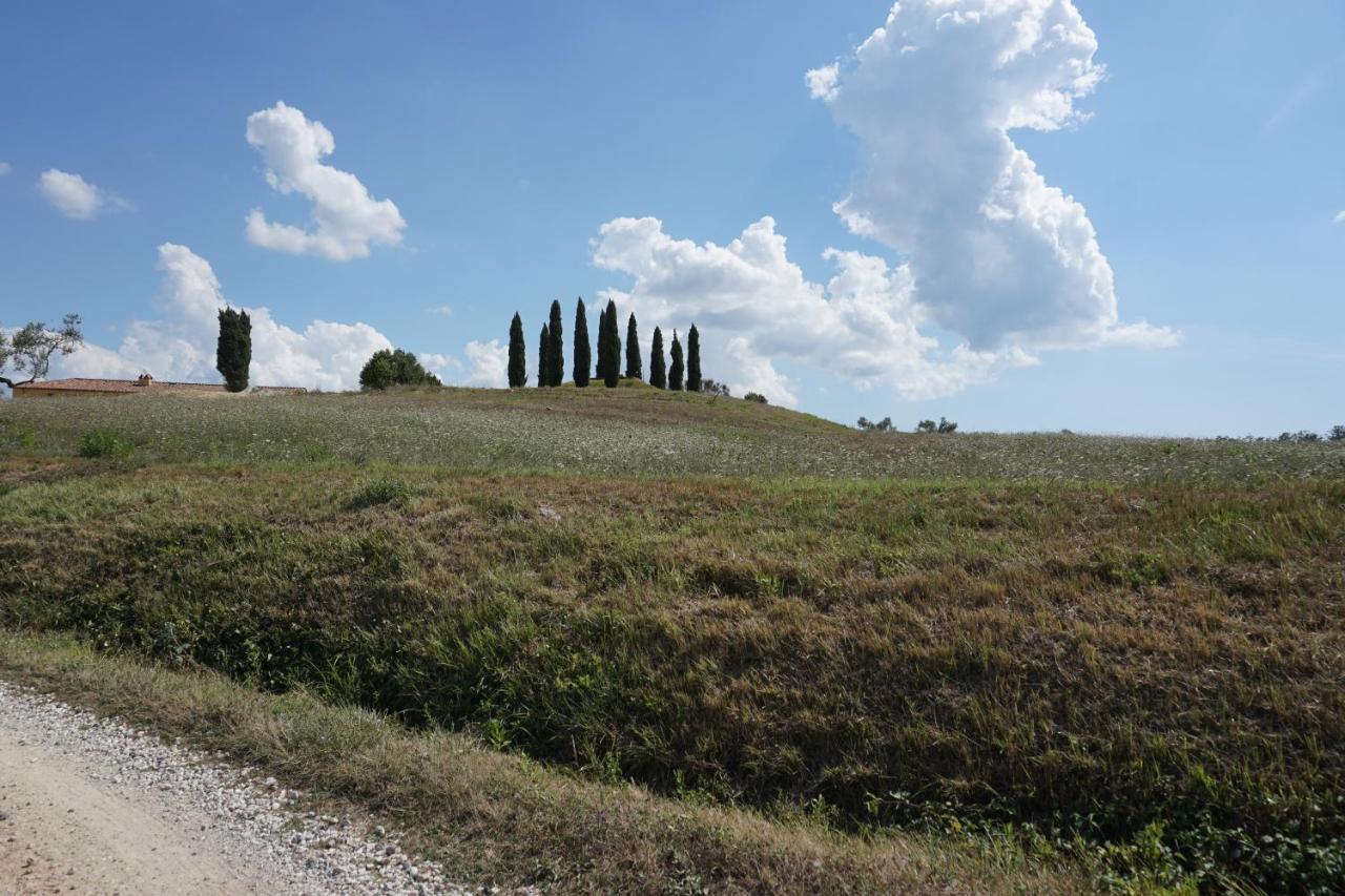 Agriturismo Cheloni Guasticce Exterior photo