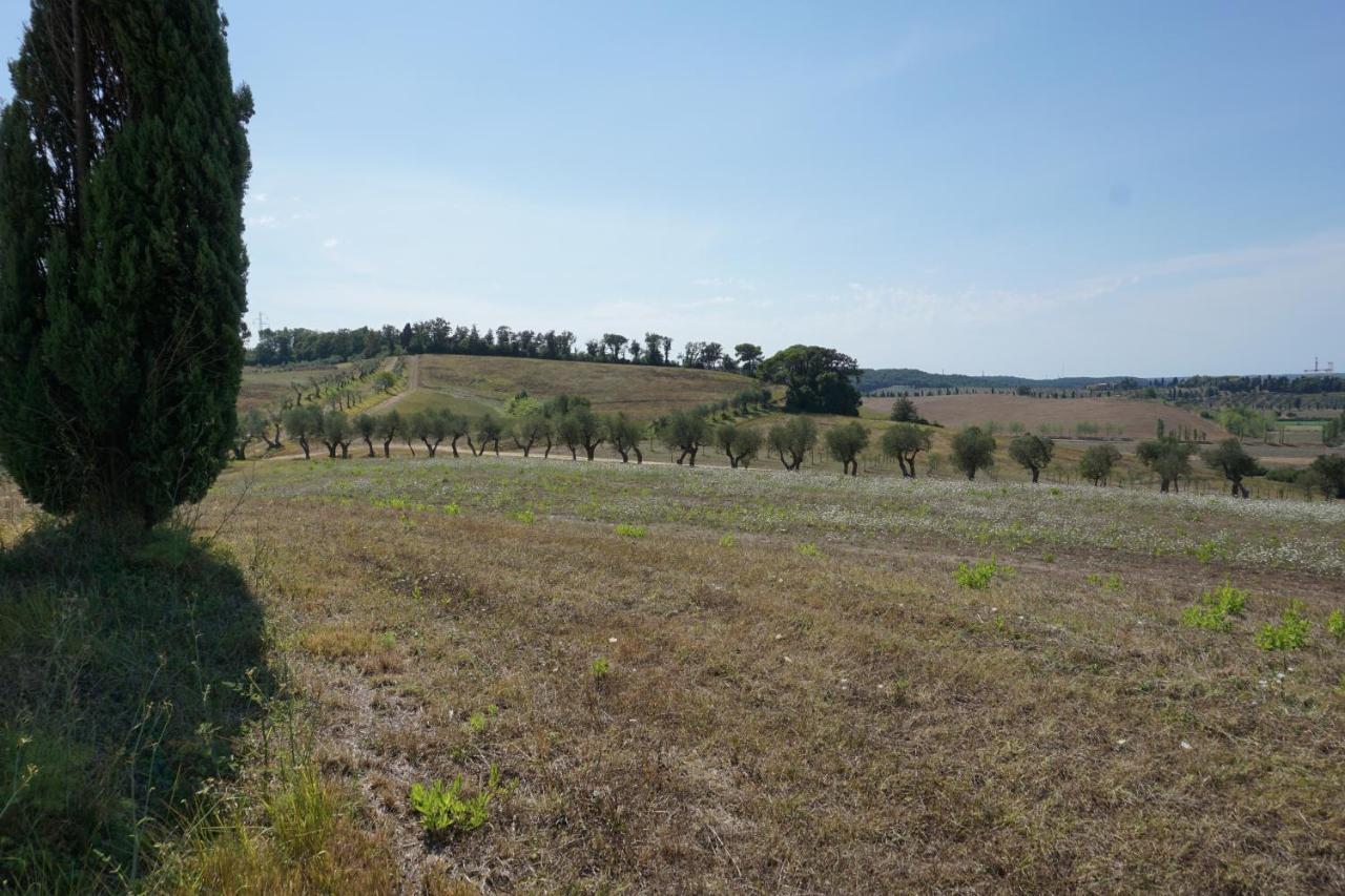 Agriturismo Cheloni Guasticce Exterior photo